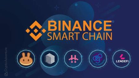 Solana (SOL) ve Binance Smart Chain (BSC): DeFi ve DApp’ler